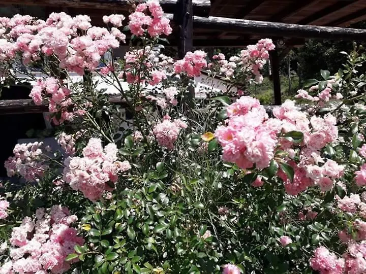 Il Casalino Bed & Breakfast Pianoro Italy